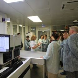 Культура invitro